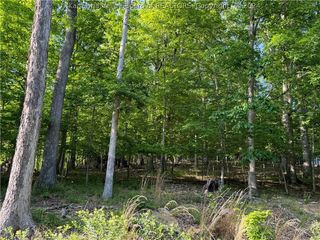 0 Poplar Estates, Scott Depot, WV 25560