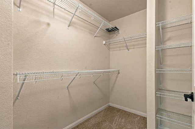 1524 Treeta TRL, Kyle, TX 78640