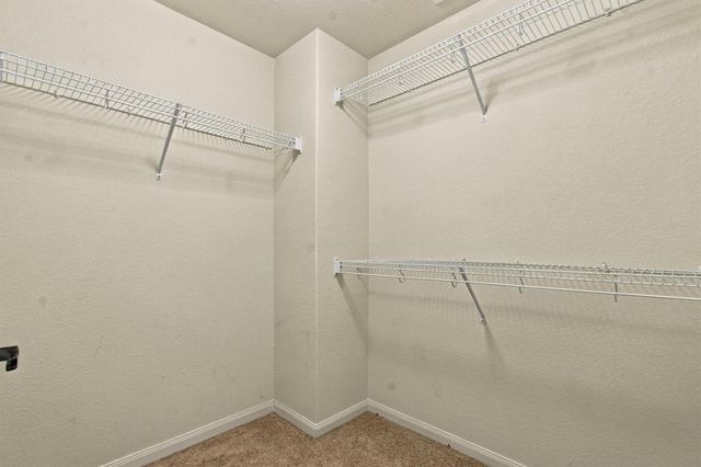 1524 Treeta TRL, Kyle, TX 78640