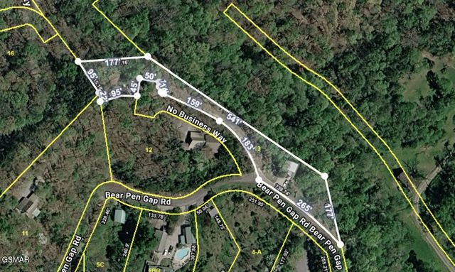 3520 Bear Pen Gap Road, Sevierville, TN 37876
