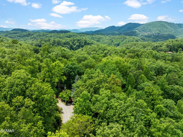 3520 Bear Pen Gap Road, Sevierville, TN 37876