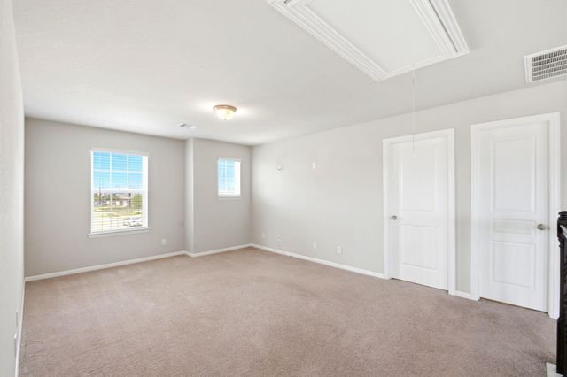 16203 Centennial Light Drive, Hockley, TX 77447