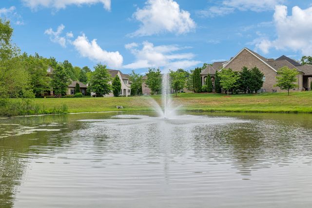 4119 Old Light Cir, Arrington, TN 37014