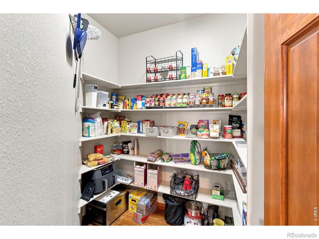 1893 E Seadrift Drive, Windsor, CO 80550