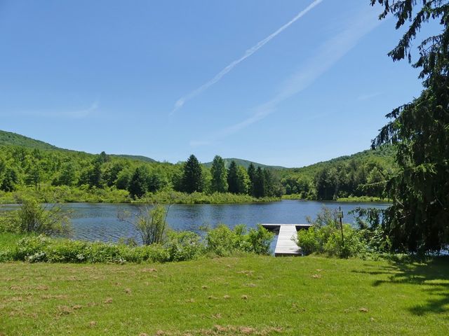 222 Timberland Drive, Andes, NY 13731