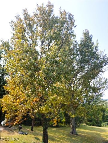 61900 Fairview Road, Barnesville, OH 43713