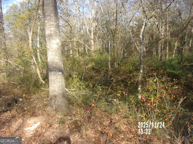 781 N Delray Road, Thomaston, GA 30286