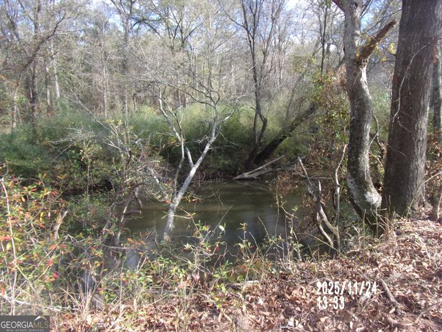 781 N Delray Road, Thomaston, GA 30286