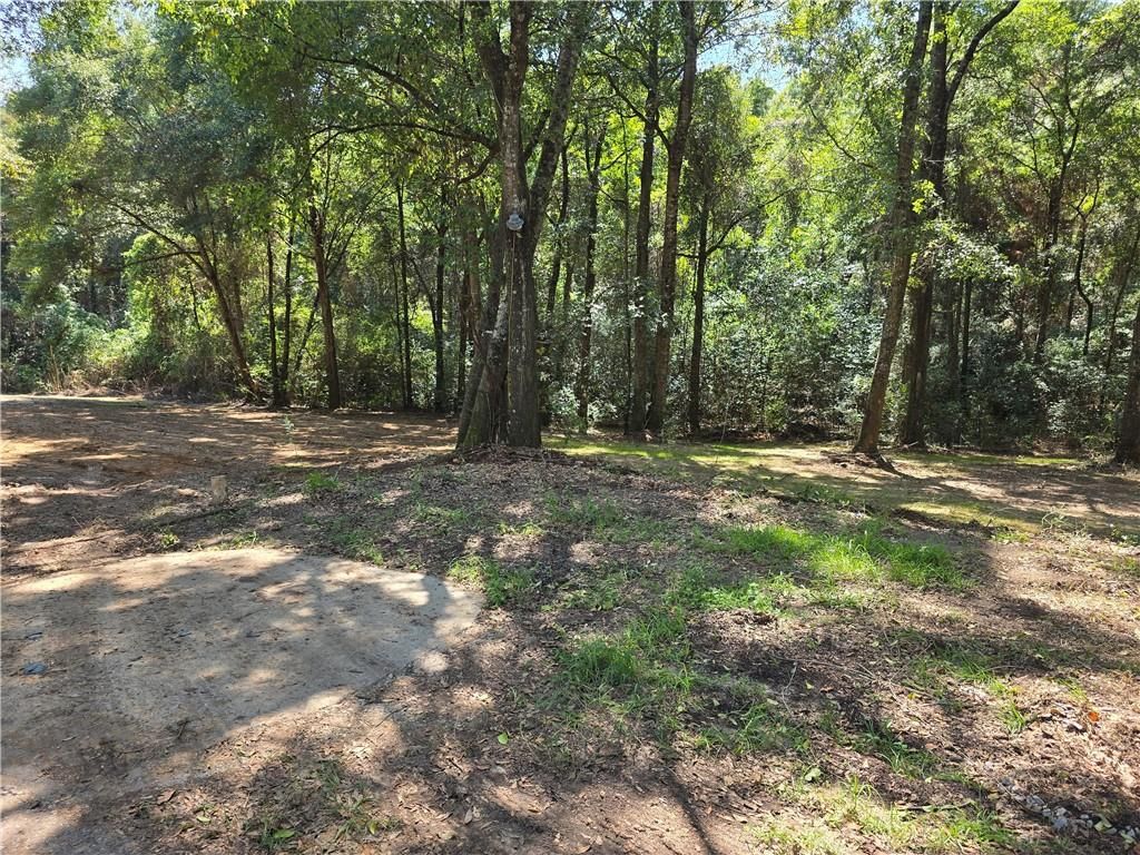5865 Odom Lane, Eight Mile, AL 36613 — photo 3