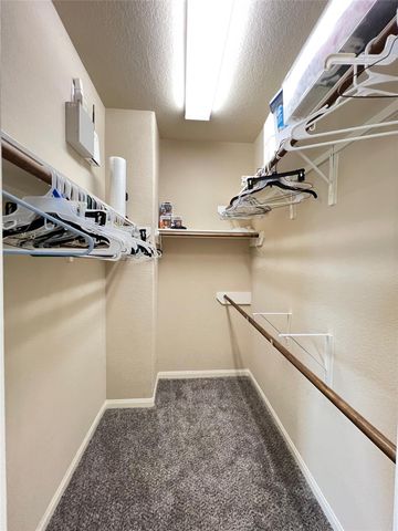 15806 Egret Field Lane, Houston, TX 77049