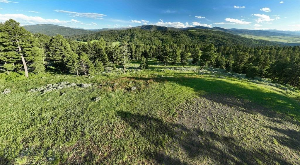 Ranch 4 North Pass Ranch, Bozeman, MT 59715 photo 14