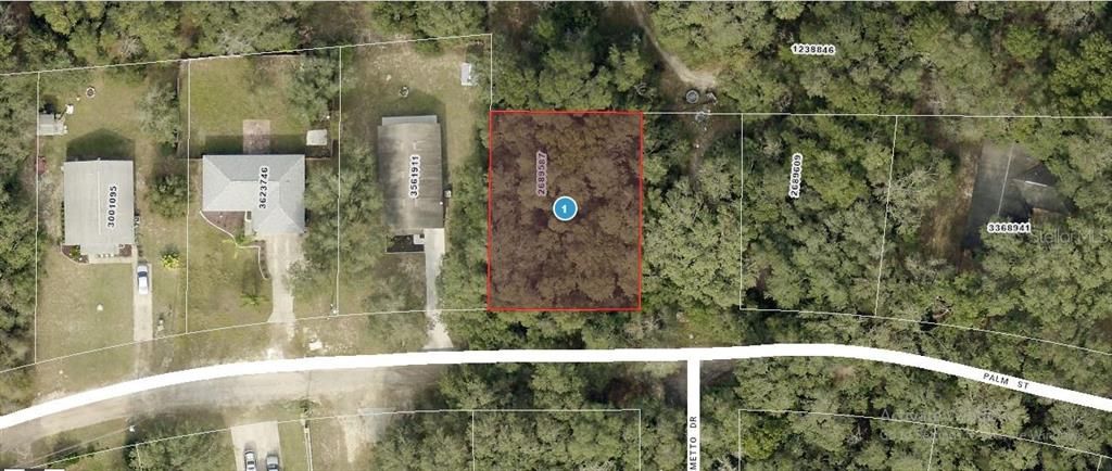 PALM STREET, Lady Lake, FL 32159