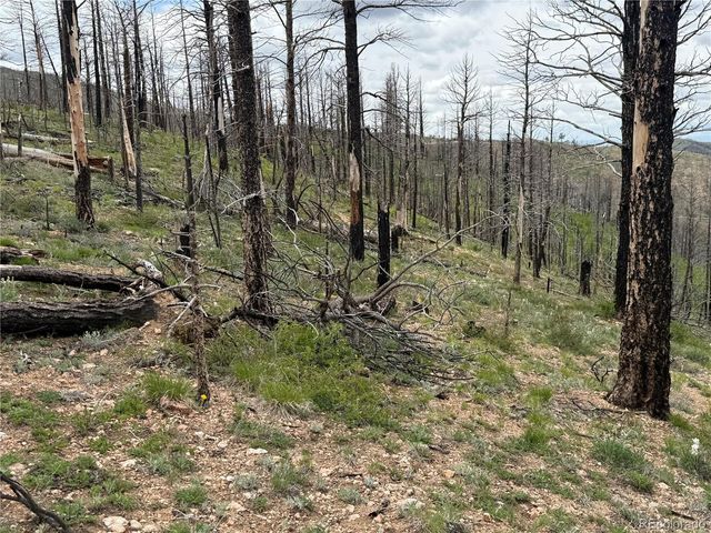 Lot 383 Soubry Place, Fort Garland, CO 81133