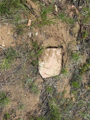 Lot 383 Soubry Place, Fort Garland, CO 81133