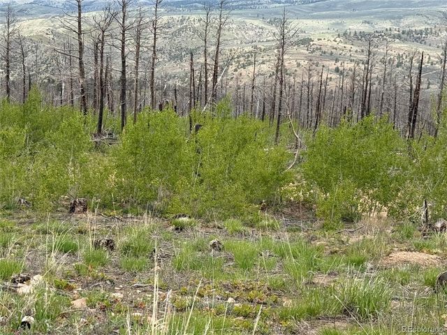 Lot 383 Soubry Place, Fort Garland, CO 81133