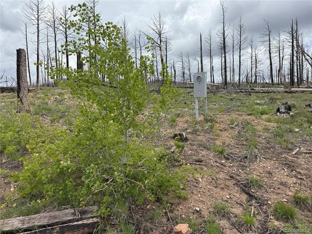 Lot 383 Soubry Place, Fort Garland, CO 81133