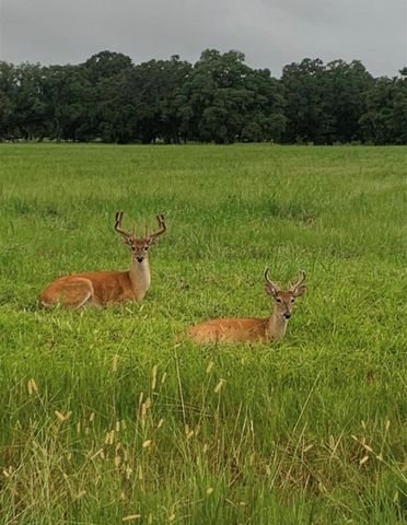 352 Horse Shoe Trail, Angleton, TX 77515