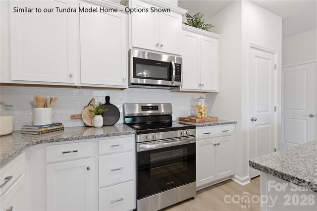 6063 White Aster Lane, Charlotte, NC 28216