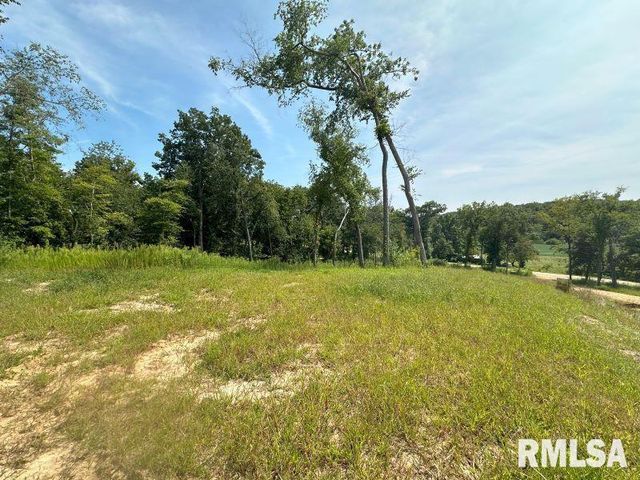 Lot 2 225TH Street, De Witt, IA 52742