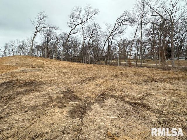 Lot 2 225TH Street, De Witt, IA 52742