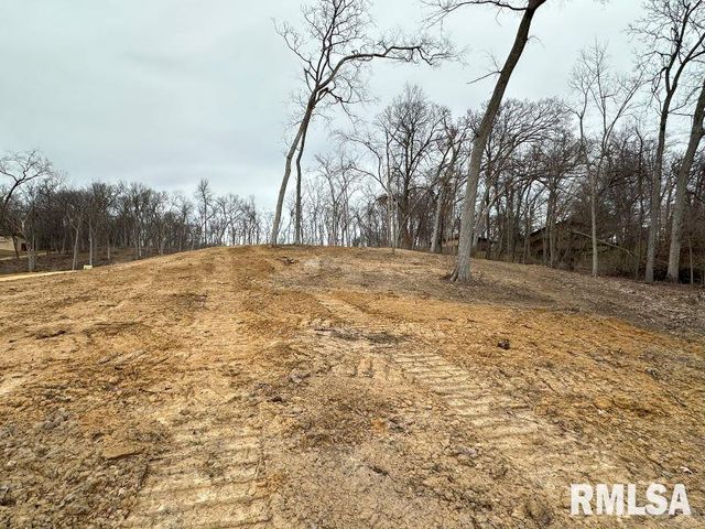 Lot 2 225TH Street, De Witt, IA 52742