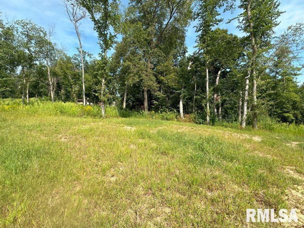 Lot 2 225TH Street, De Witt, IA 52742