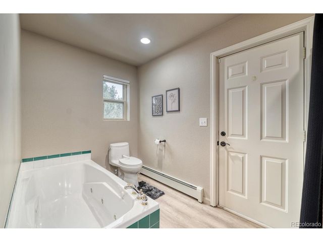 30642 Buck Brush, Buena Vista, CO 81211