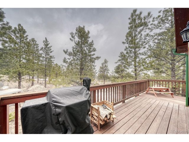 30642 Buck Brush, Buena Vista, CO 81211