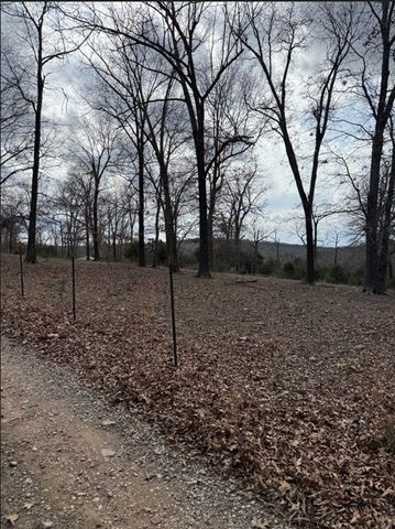 19501 Douglas Cove, Lead Hill, AR 72644