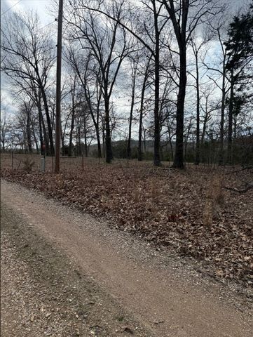 19501 Douglas Cove, Lead Hill, AR 72644
