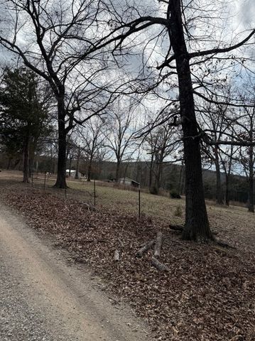 19501 Douglas Cove, Lead Hill, AR 72644