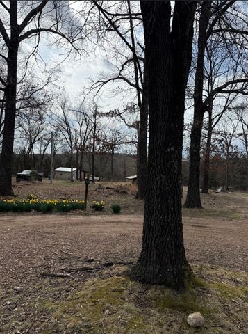 19501 Douglas Cove, Lead Hill, AR 72644