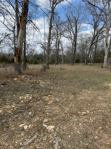 19501 Douglas Cove, Lead Hill, AR 72644