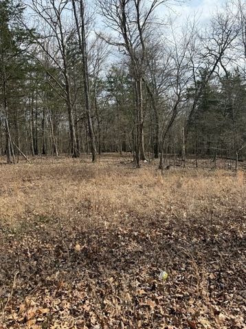 19501 Douglas Cove, Lead Hill, AR 72644