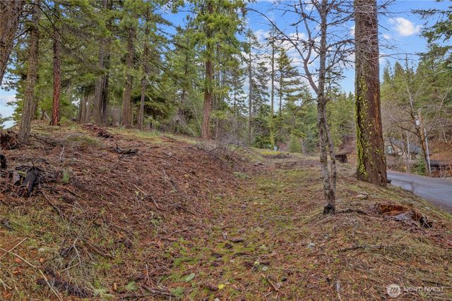 0 Lot 12 Pine Loch Sun Drive, Ronald, WA 98940