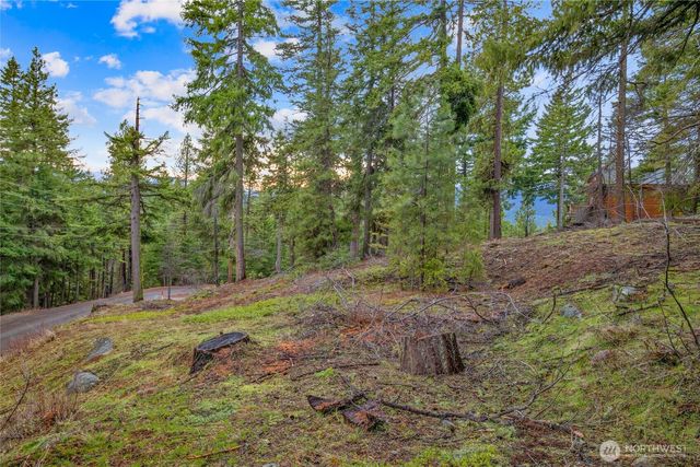 0 Lot 12 Pine Loch Sun Drive, Ronald, WA 98940