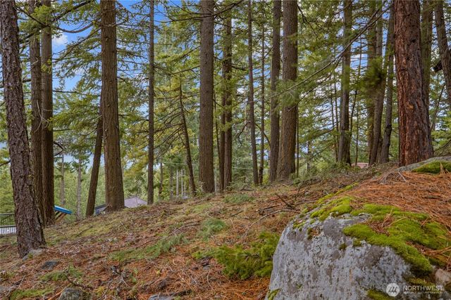 0 Lot 12 Pine Loch Sun Drive, Ronald, WA 98940