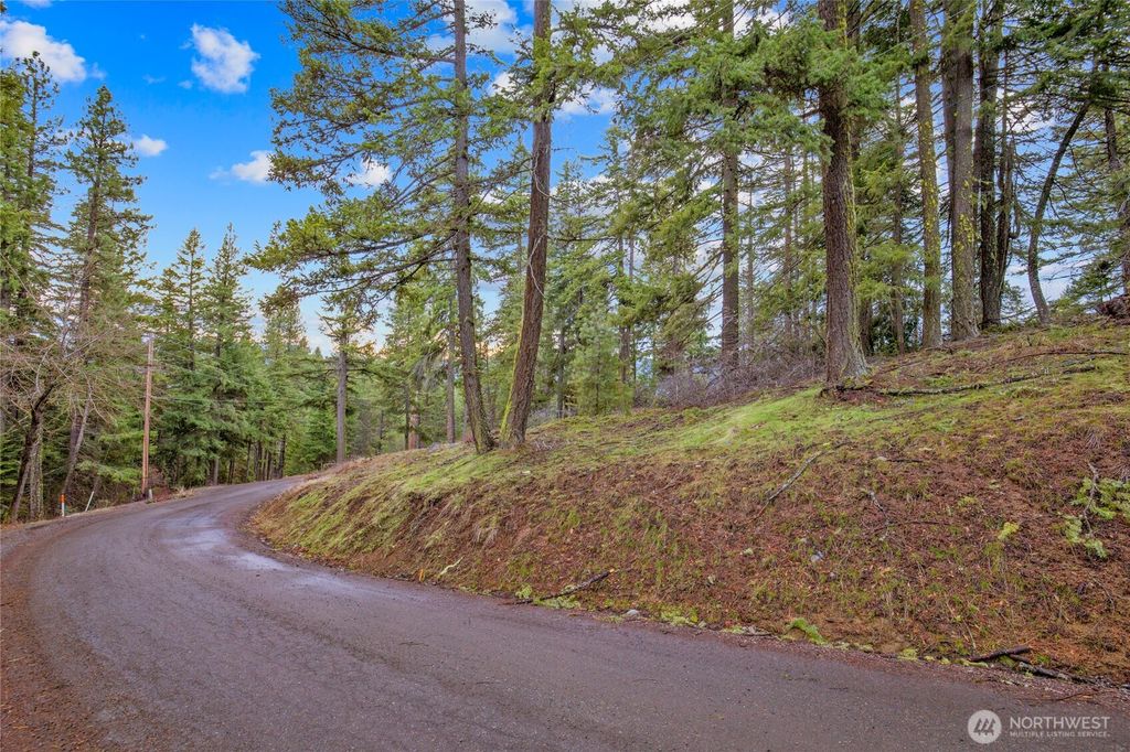 0 Lot 12 Pine Loch Sun Drive, Ronald, WA 98940