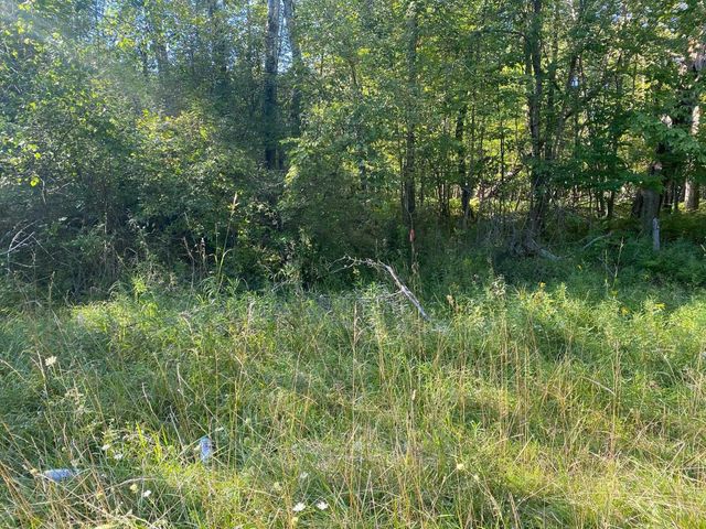 Cowlitz Cove, Evart, MI 49631