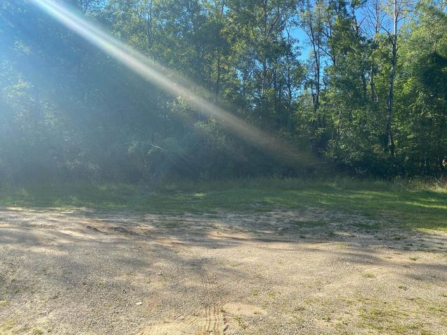 Cowlitz Cove, Evart, MI 49631