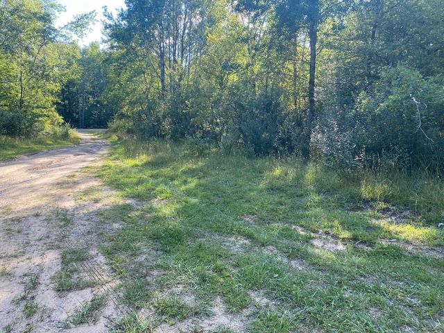 Cowlitz Cove, Evart, MI 49631