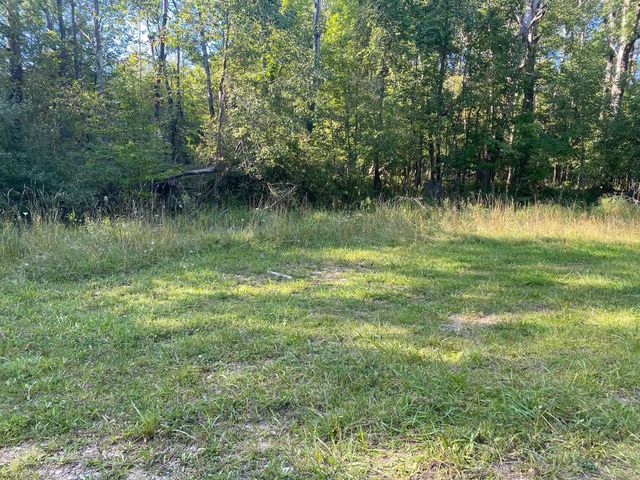 Cowlitz Cove, Evart, MI 49631