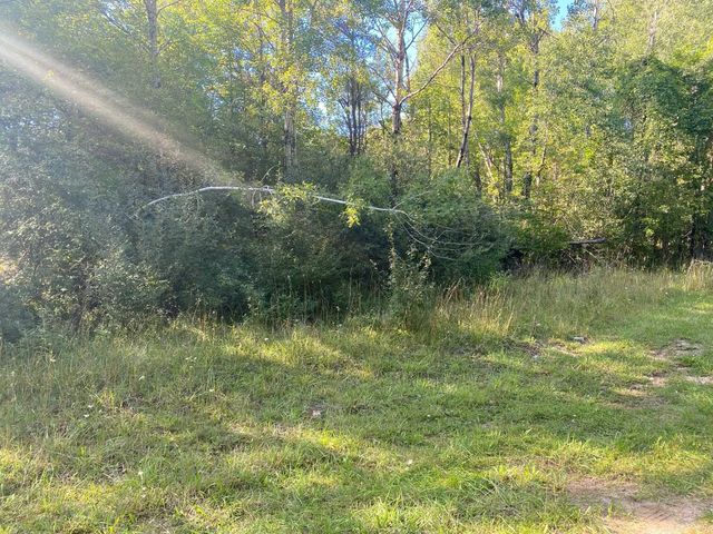 Cowlitz Cove, Evart, MI 49631