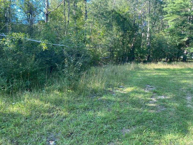 Cowlitz Cove, Evart, MI 49631