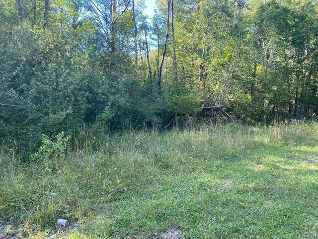 Cowlitz Cove, Evart, MI 49631