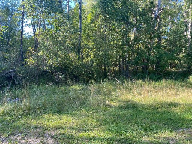 Cowlitz Cove, Evart, MI 49631