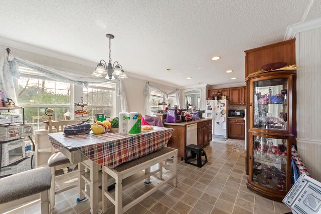 249 Hammock Street, Summerville, SC 29483