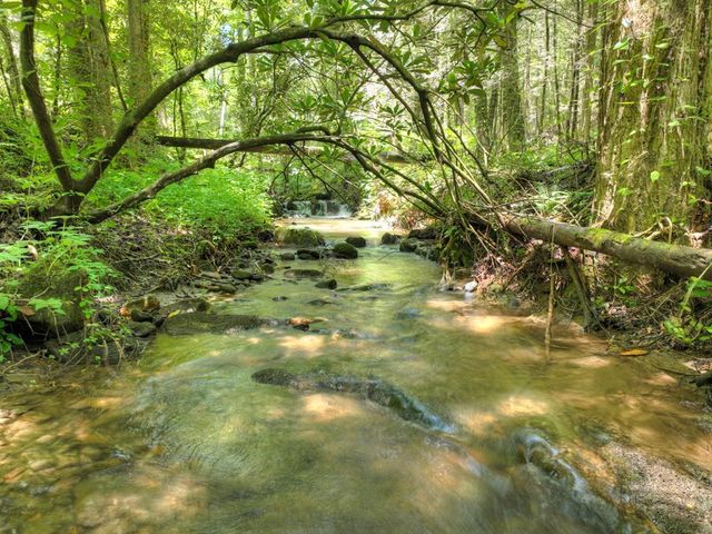 1048 Laurel Trail, Ellijay, GA 30536