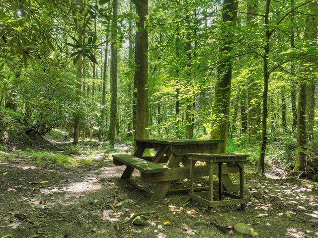 1048 Laurel Trail, Ellijay, GA 30536