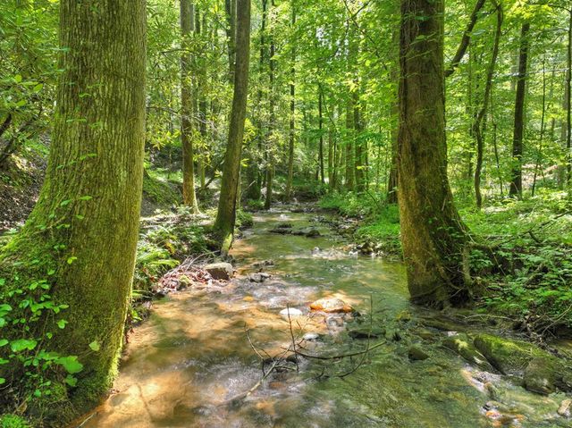 1048 Laurel Trail, Ellijay, GA 30536